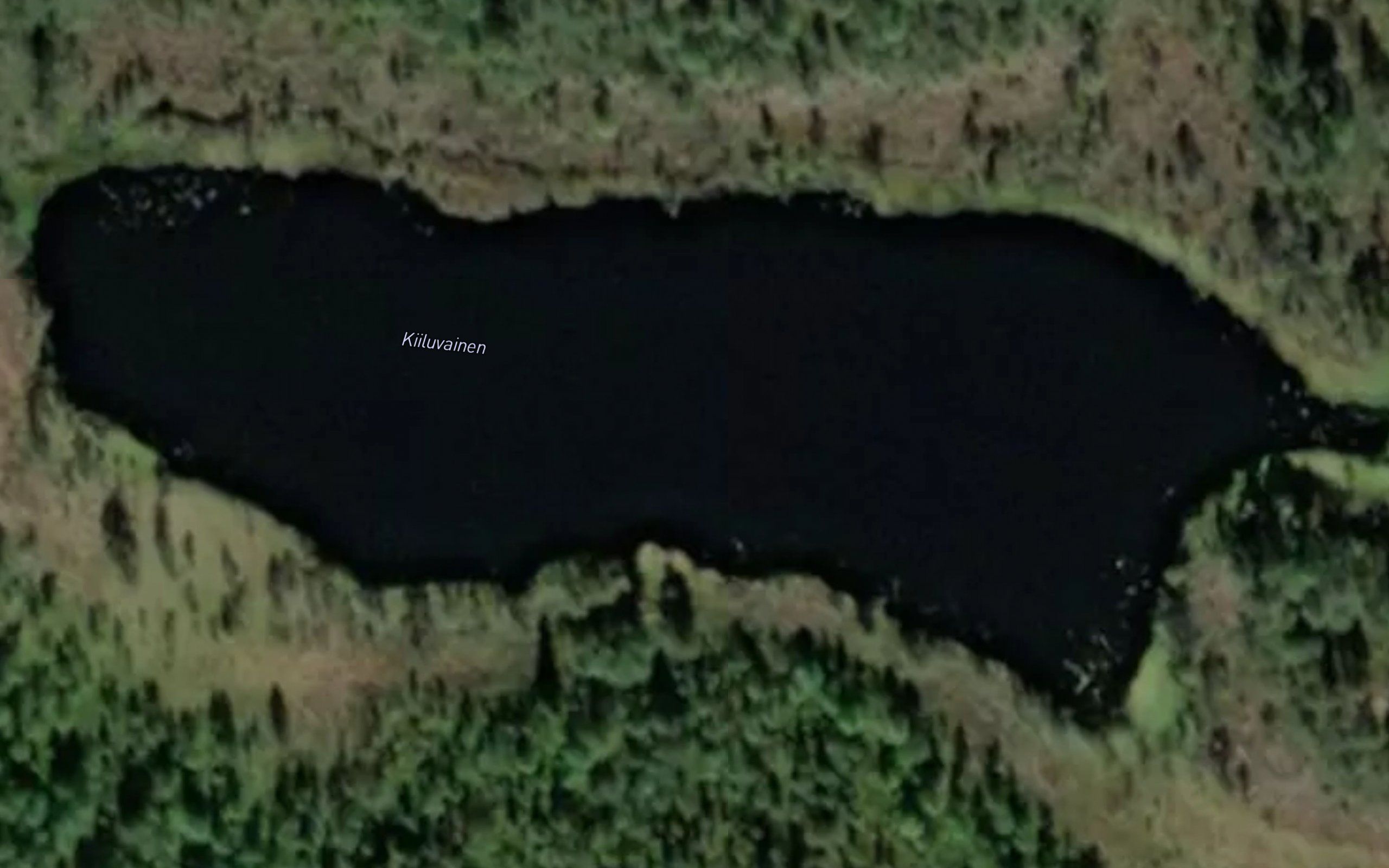 Kiiluvainen