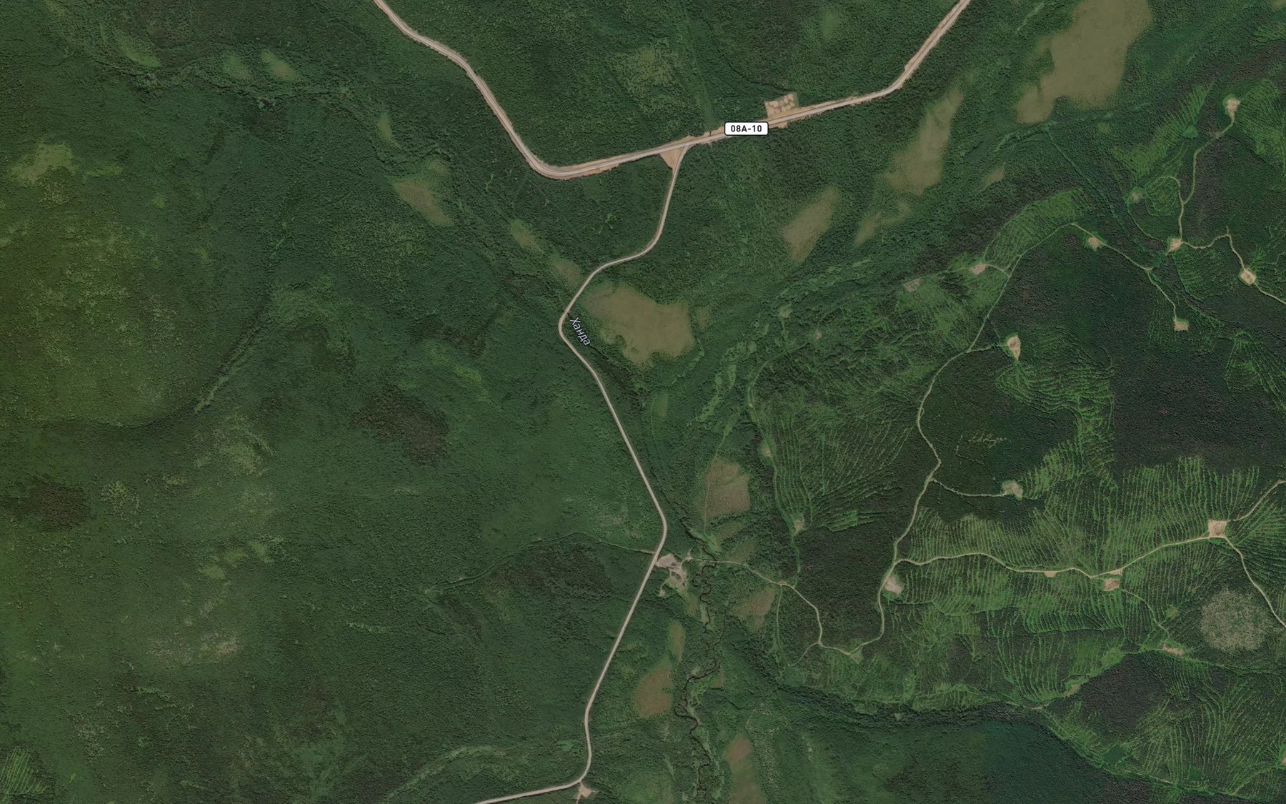 Satellite map of the Svetlyy