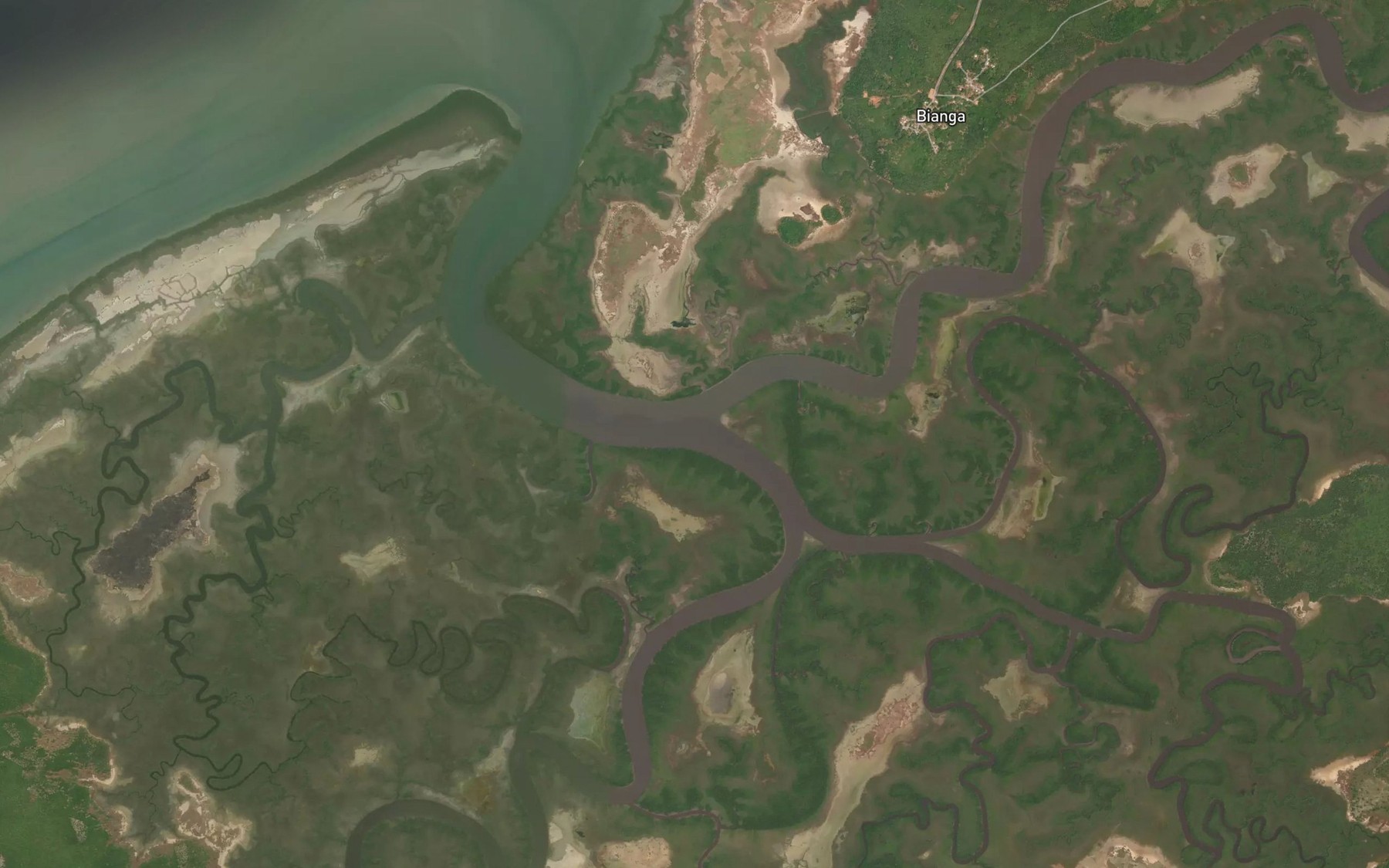 Satellite map of the Rio Bubaje