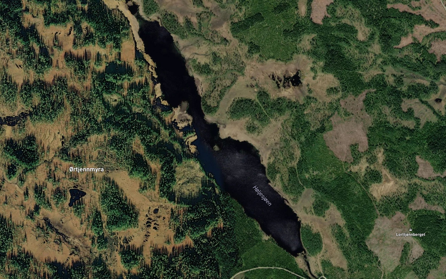Satellite map of the Holjesjoen