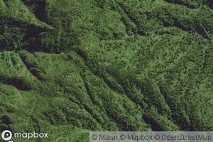 Te Whakapatiki Stream