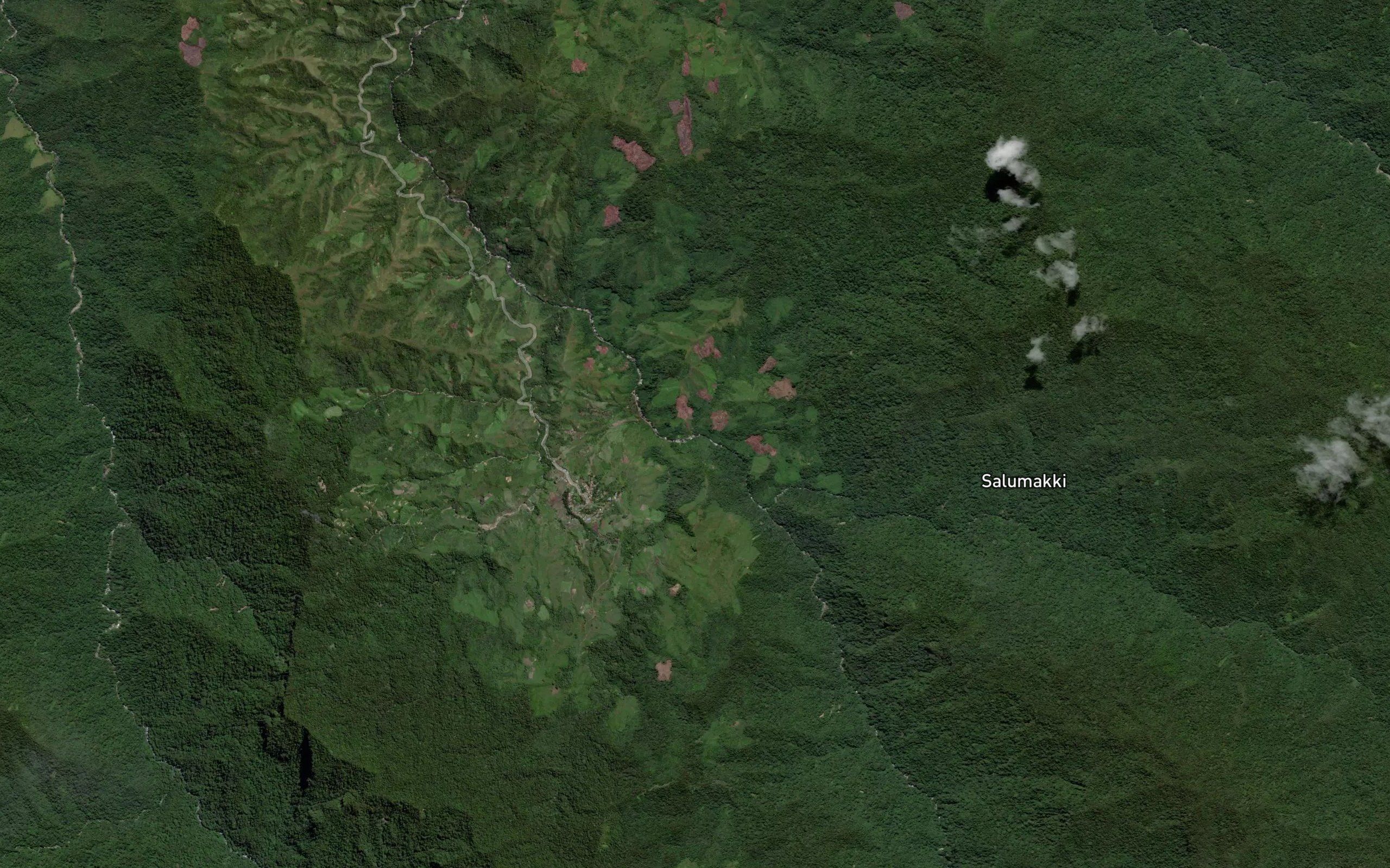 Salu Tadau
