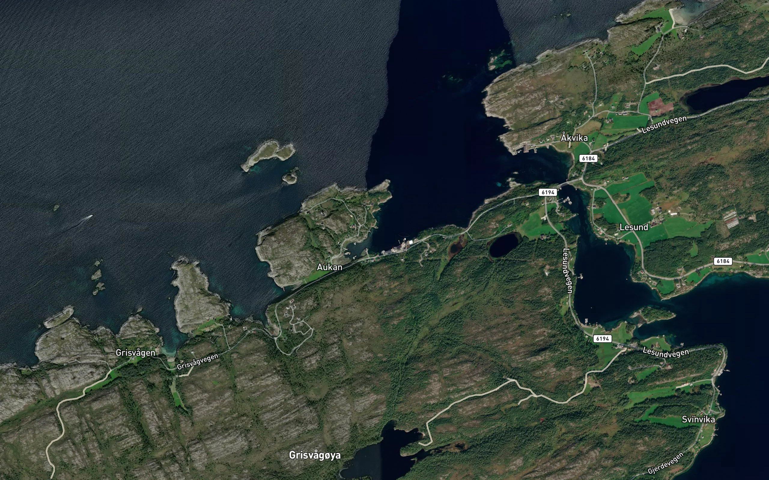 Aukbugen