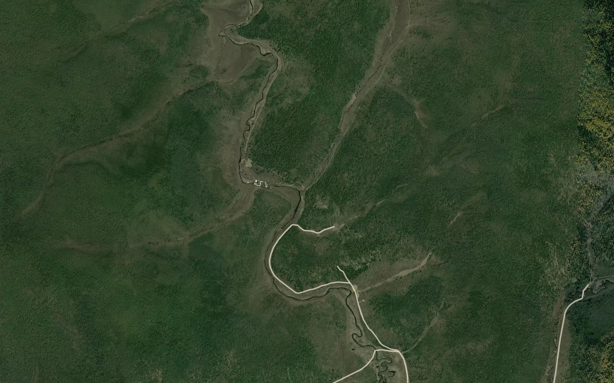 Mongon
