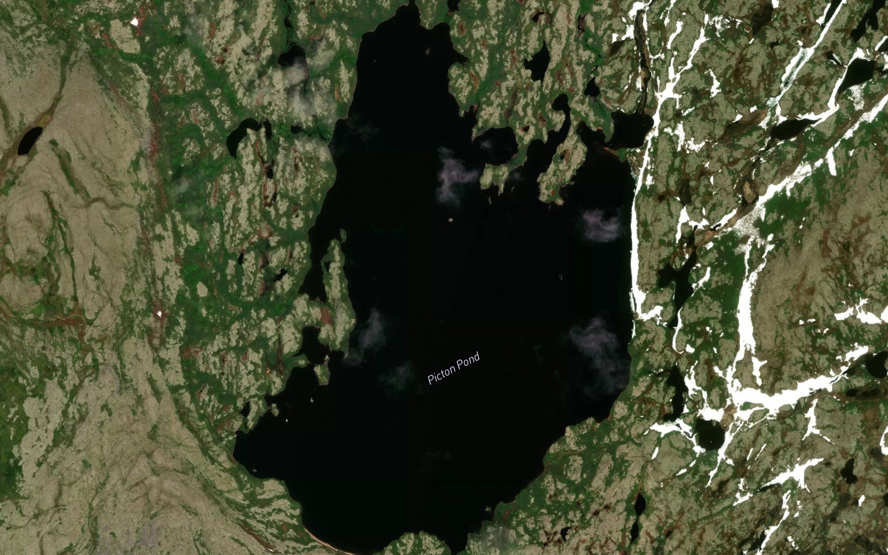 Satellite map of the Picton Pond
