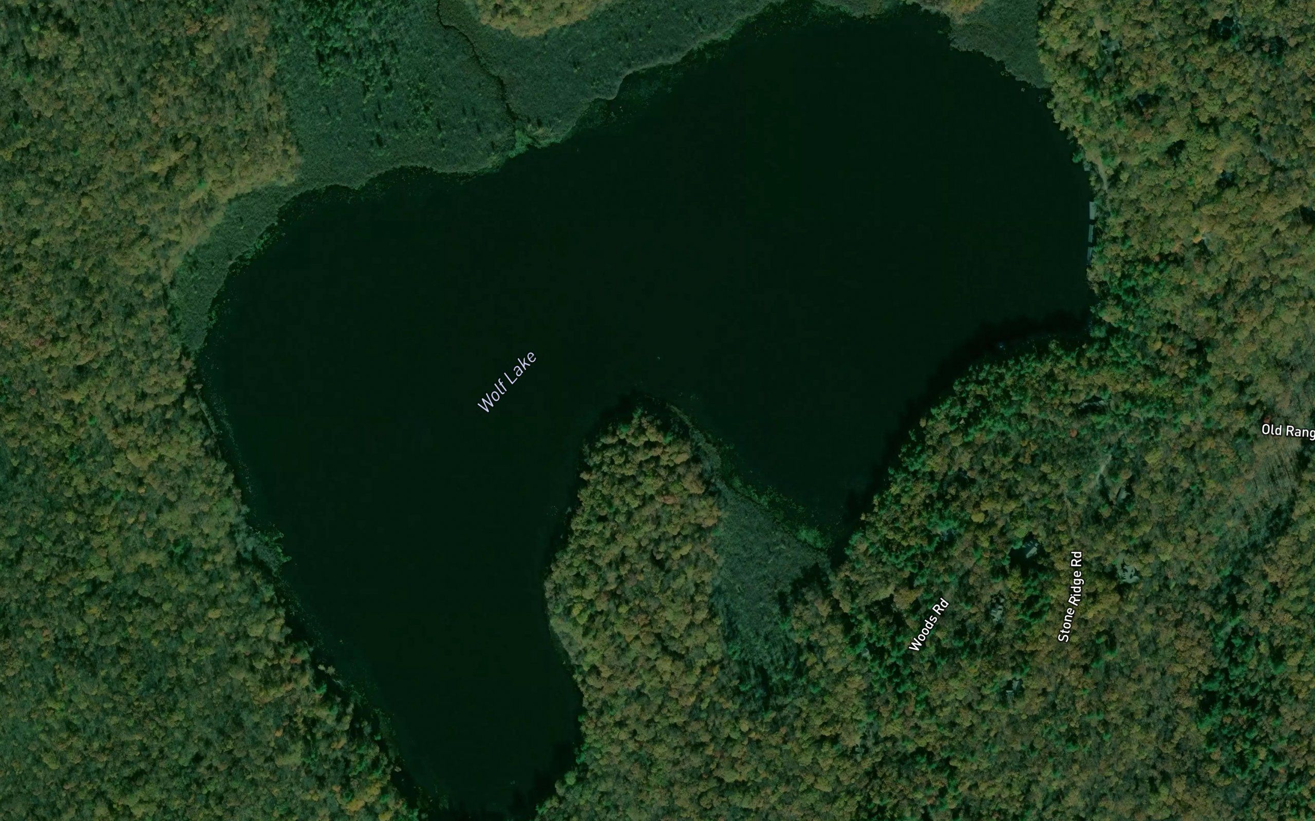 Wolf Lake