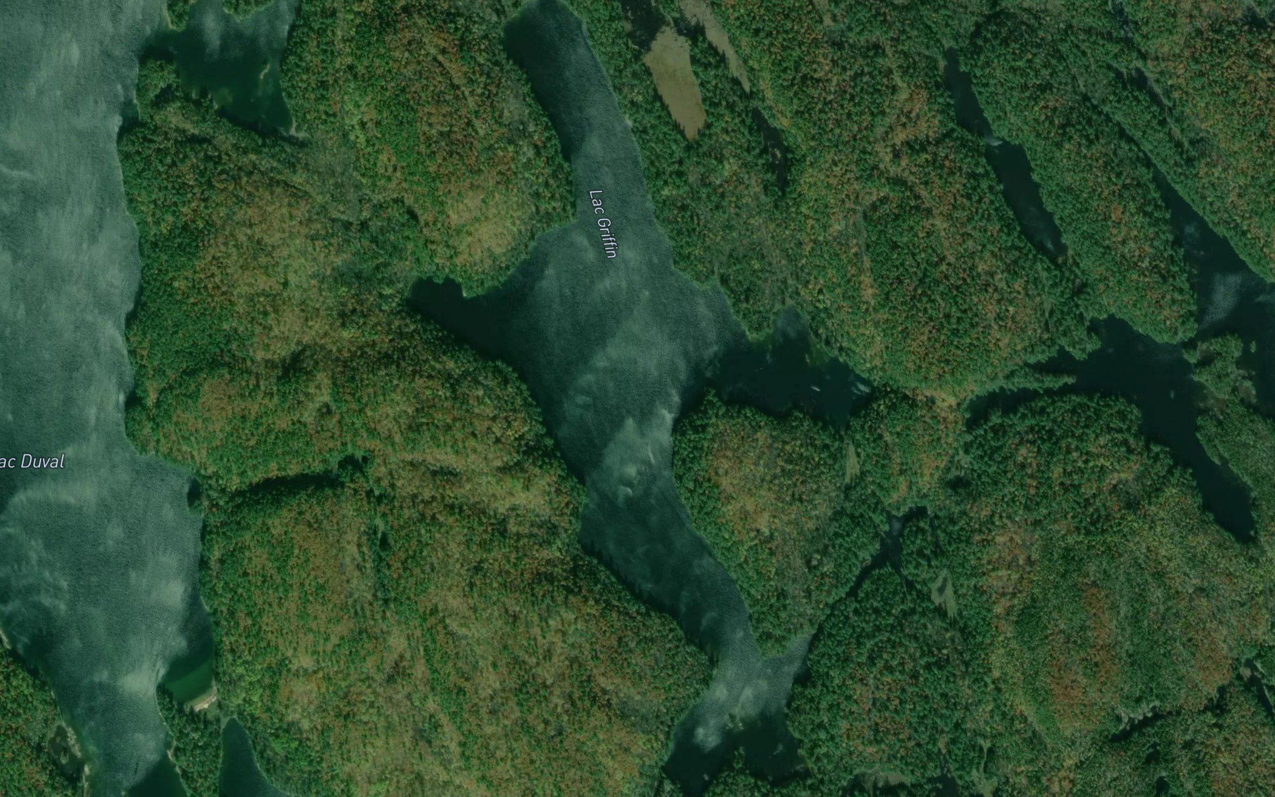 Lac Griffin