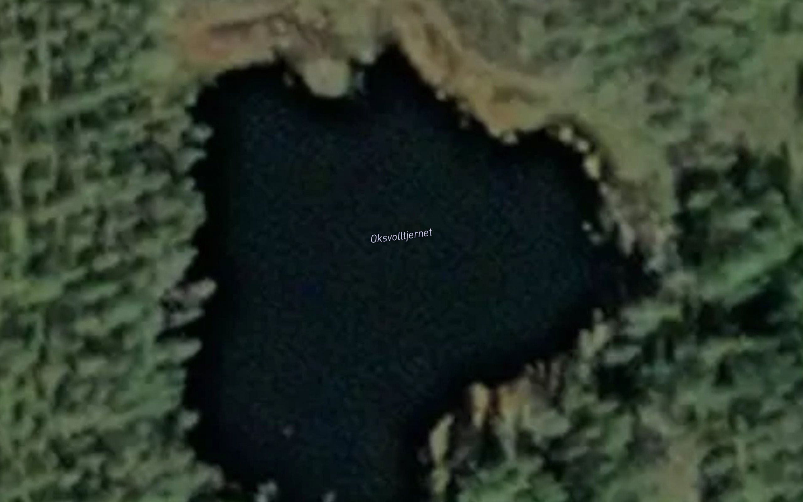 Oksvolltjernet