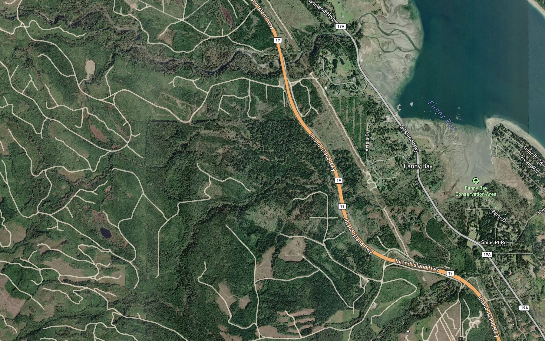 Satellite map of the Cougar Smith Creek