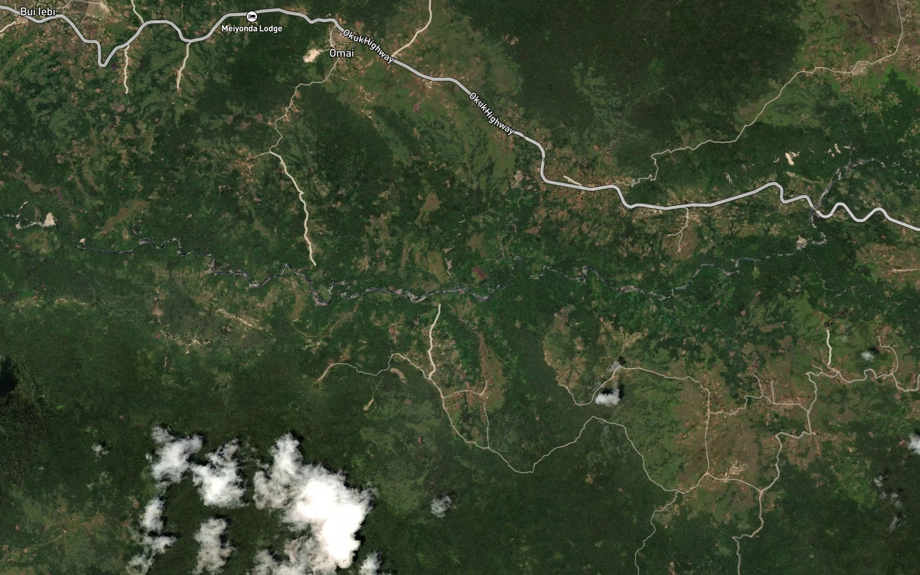 Satellite map of the Pino River