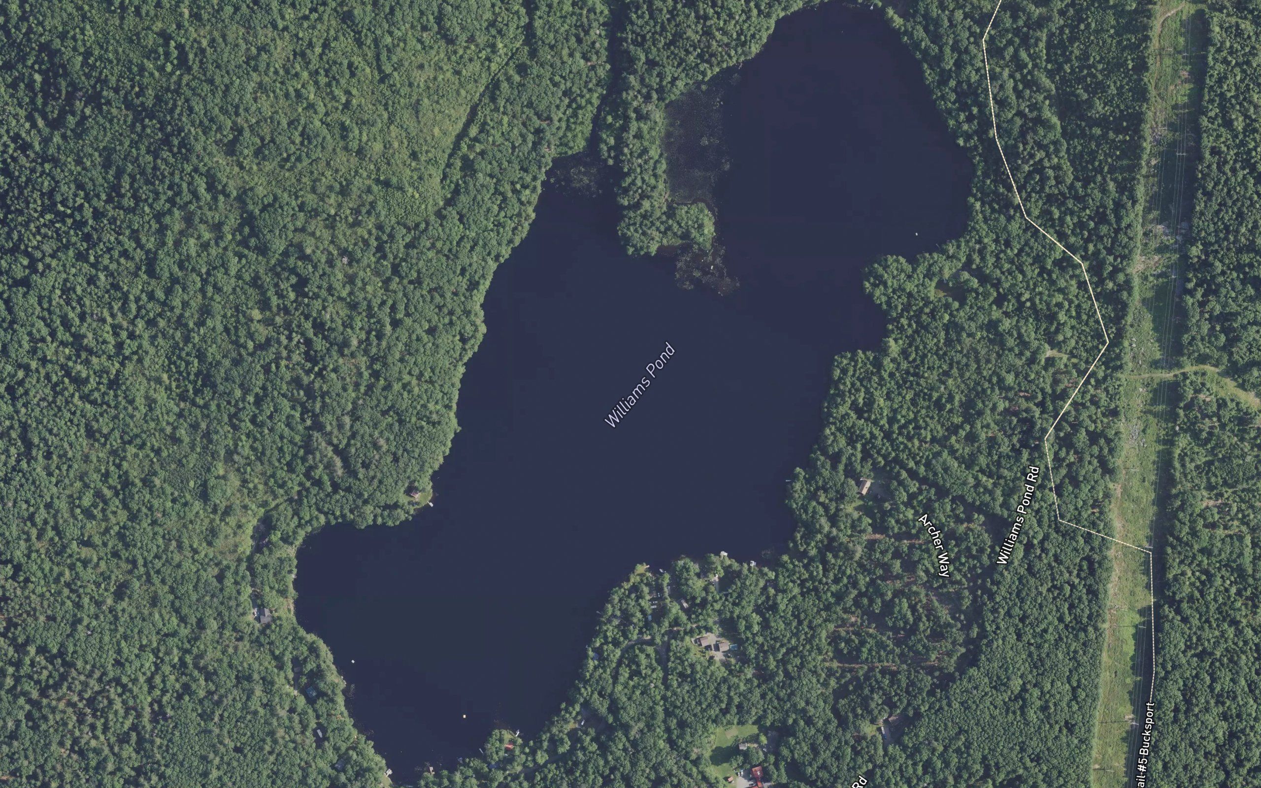 Williams Pond