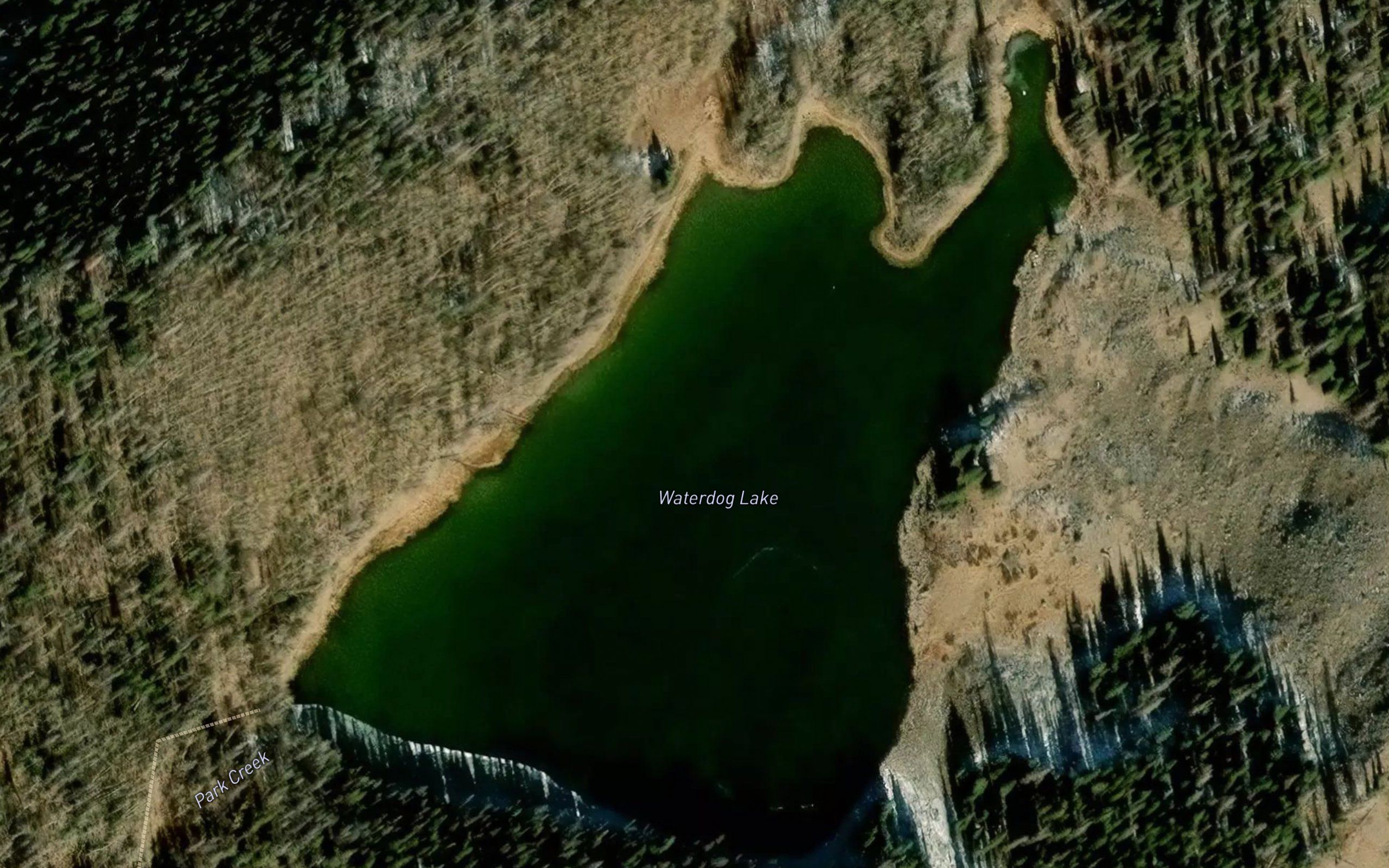 Waterdog Lake
