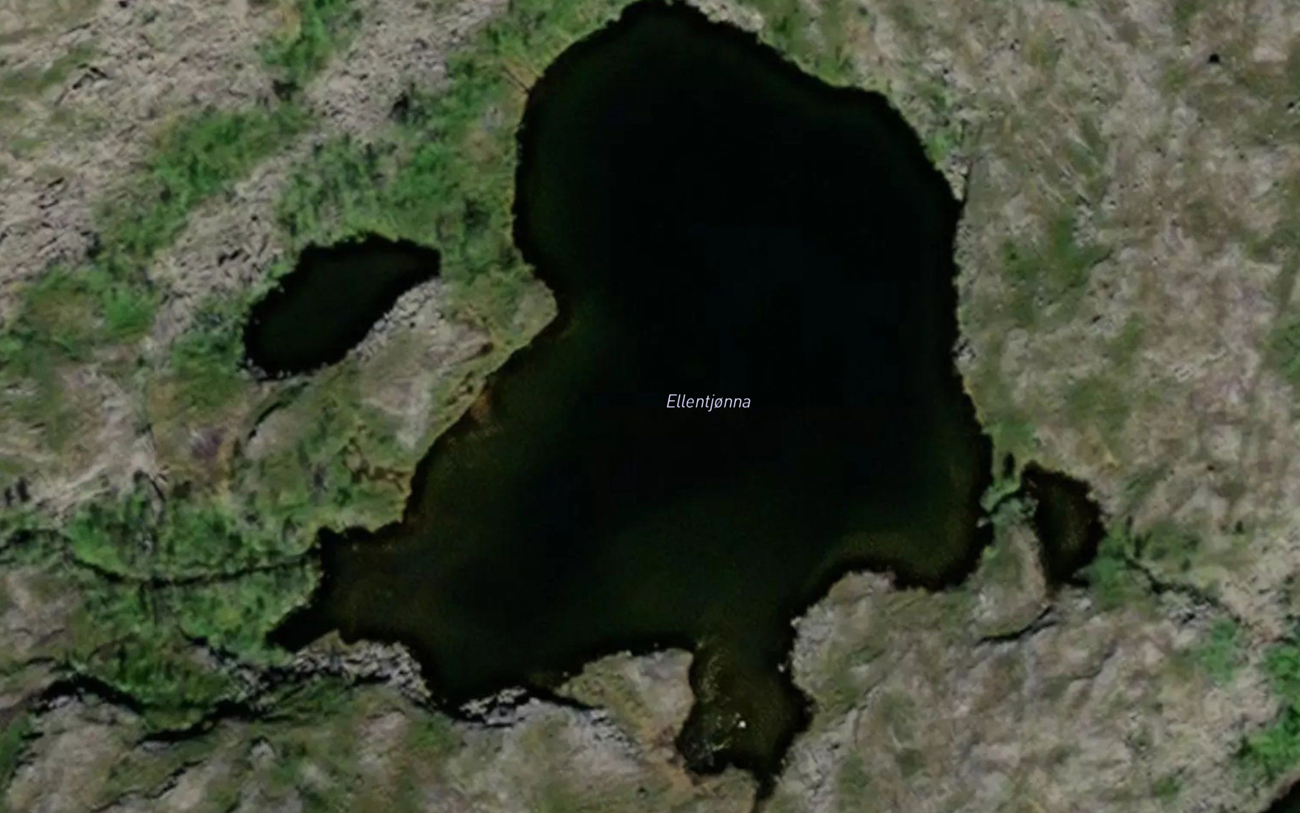 Ellentjonna