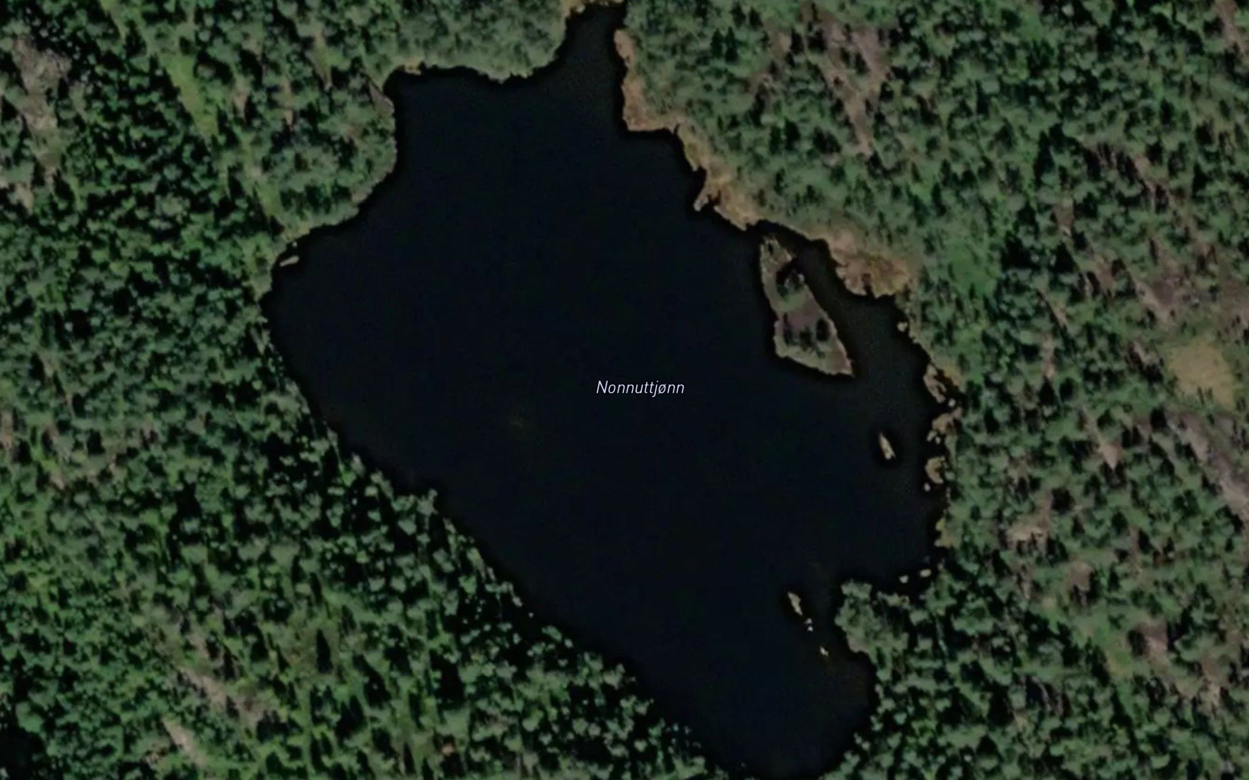 Nonsnuttjorn