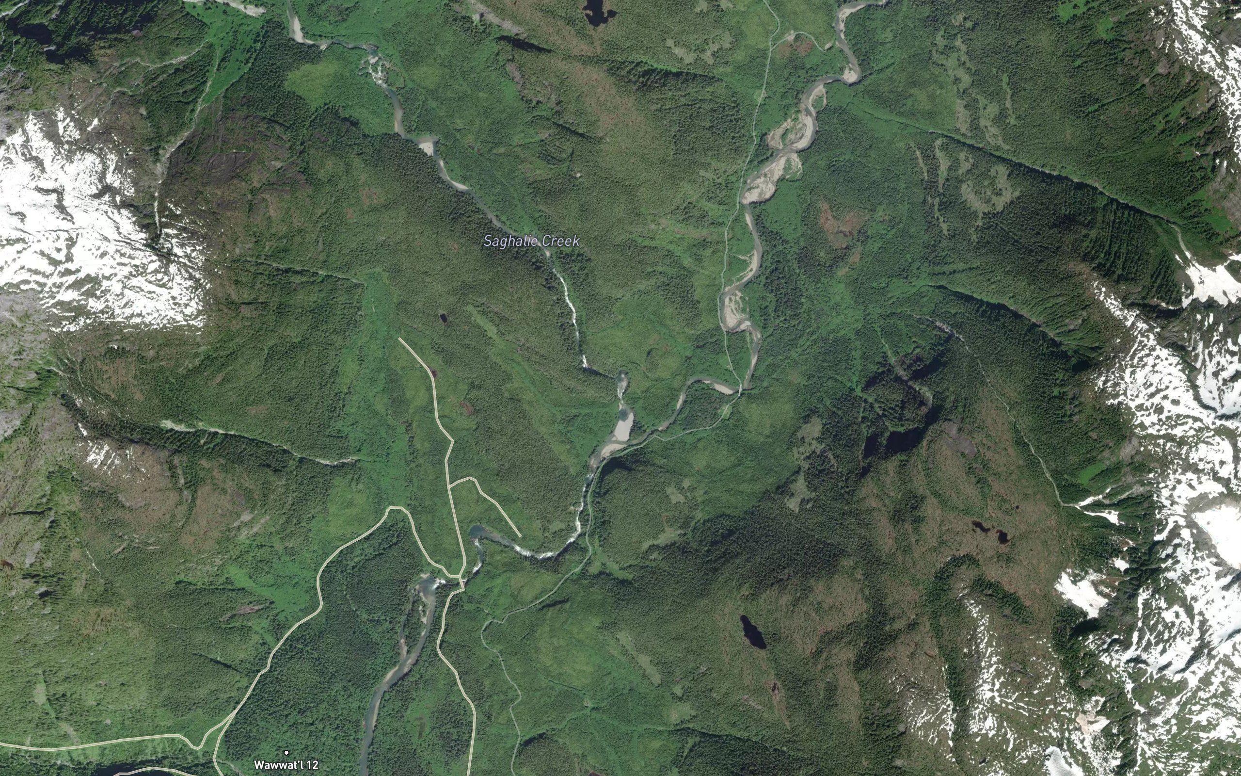 Saghalie Creek