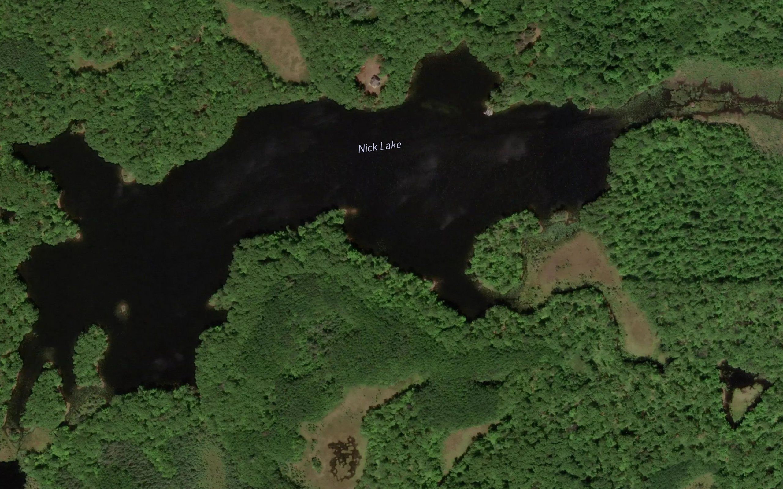 Nick Lake