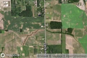 North Branch Cone Creek