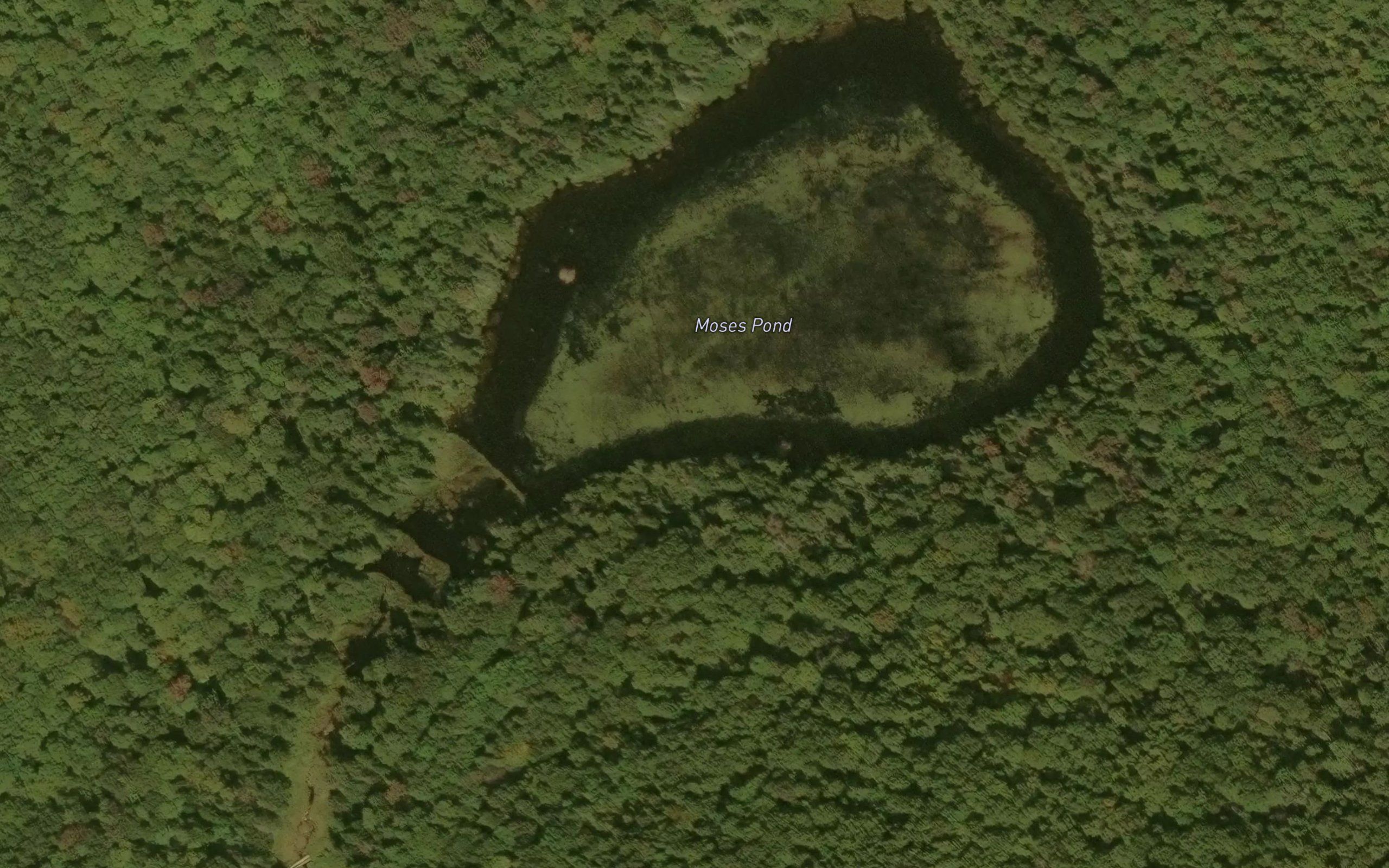 Moses Pond