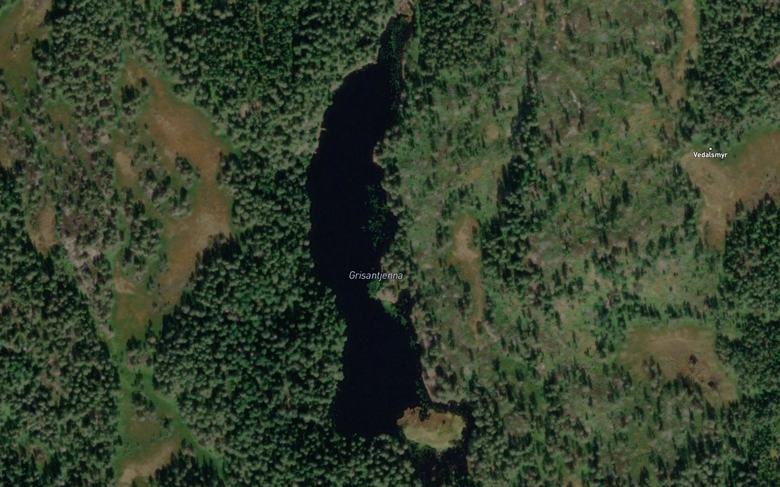 Gvisantjornane