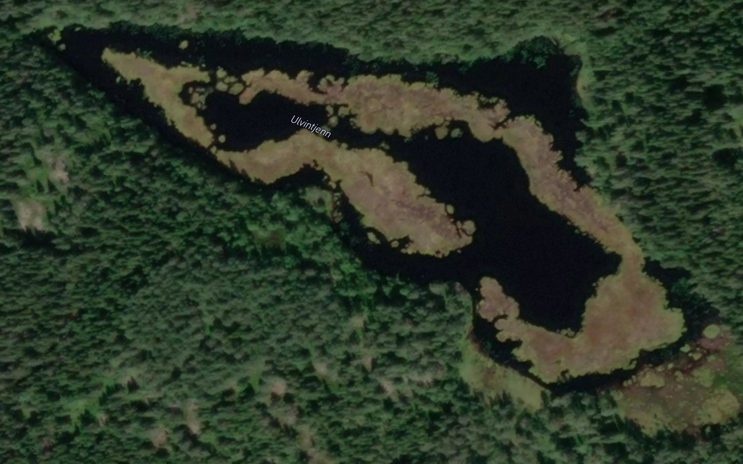 Ulvintjern