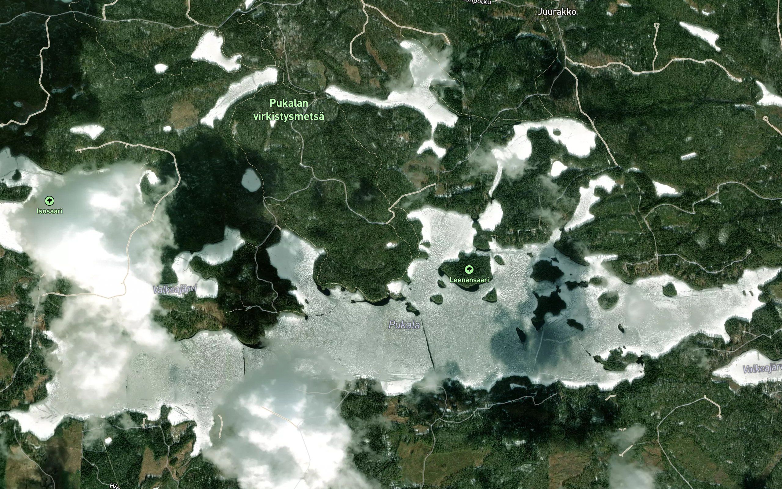 Herttalammi