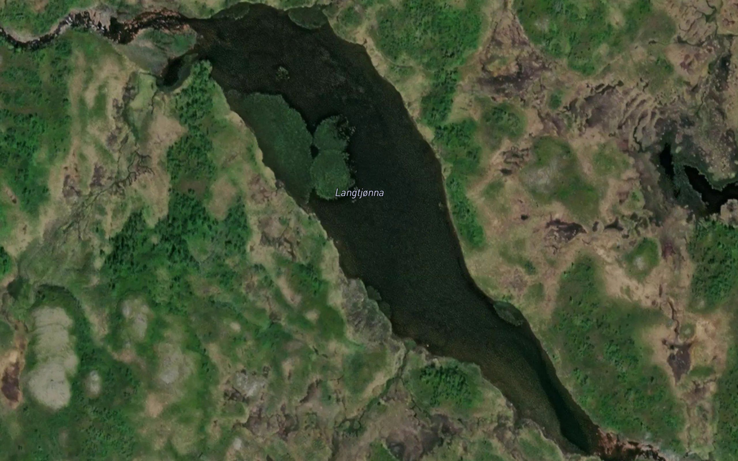 Langtjonna