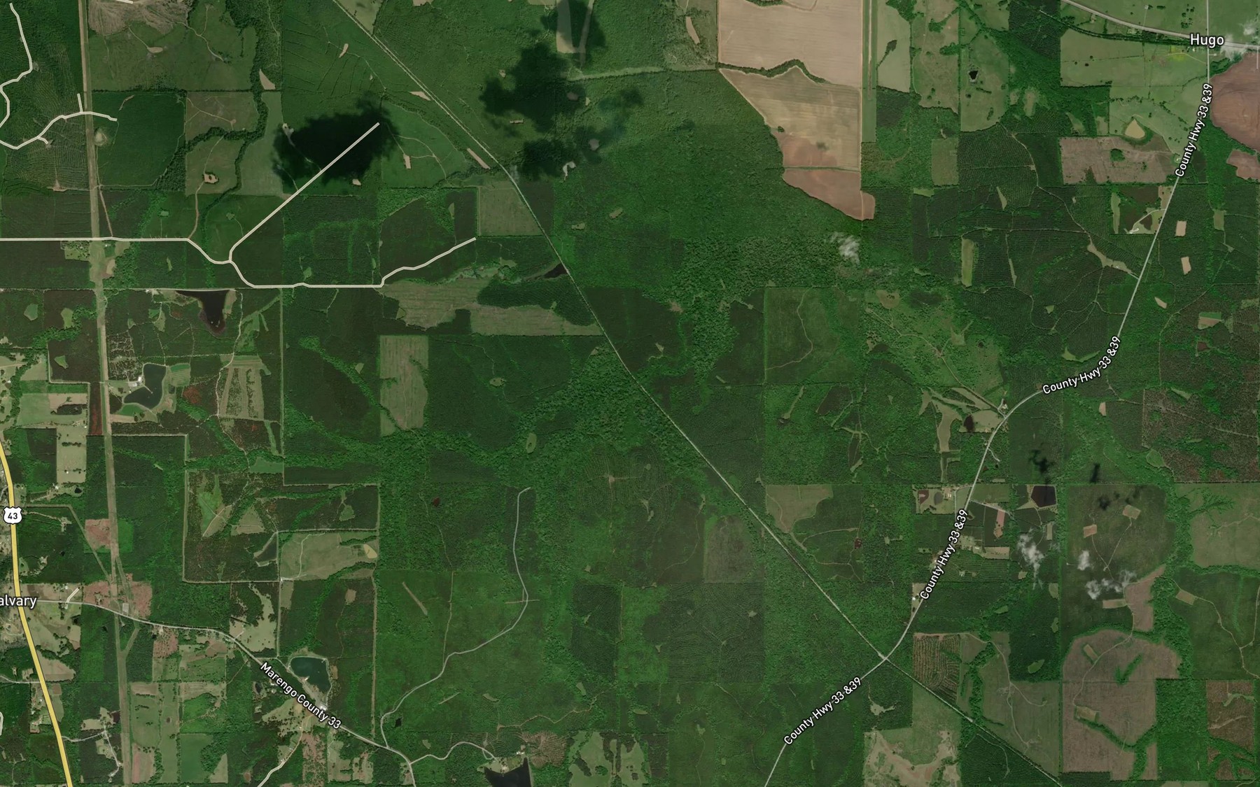 Satellite map of the Bee Branch