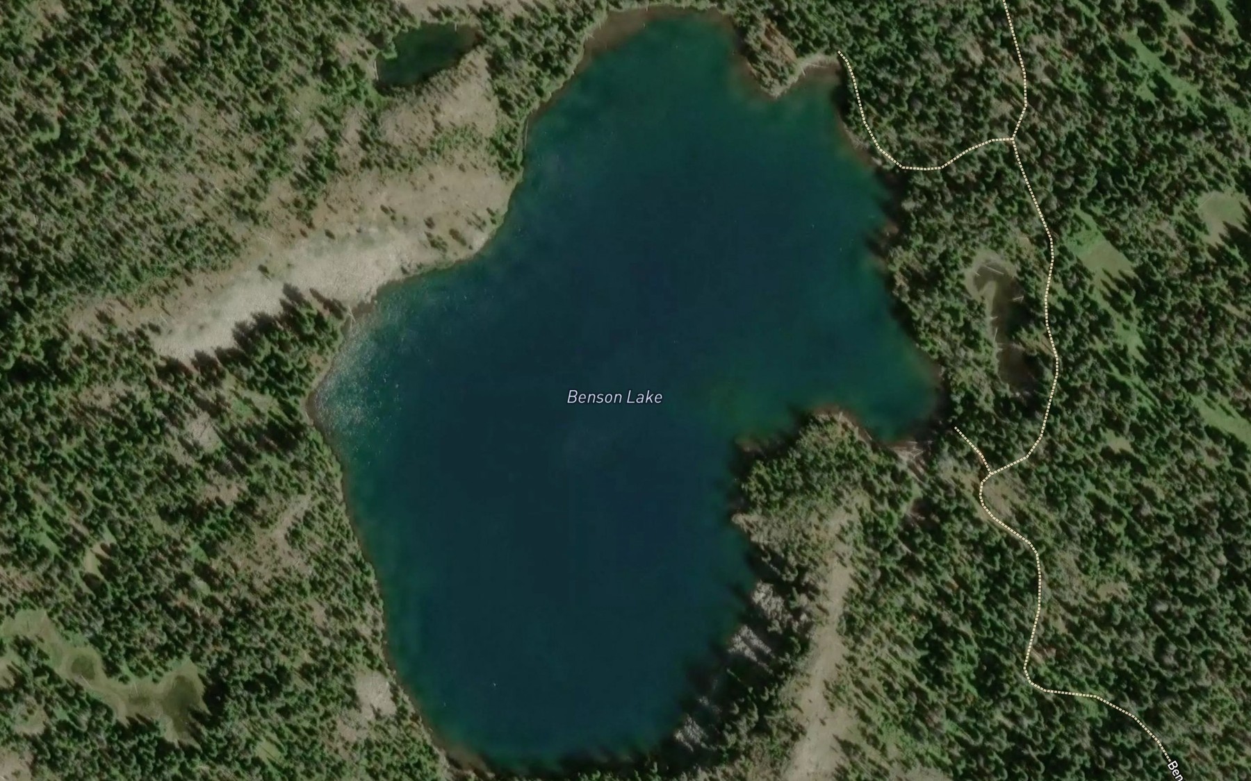 Satellite map of the Benson Lake