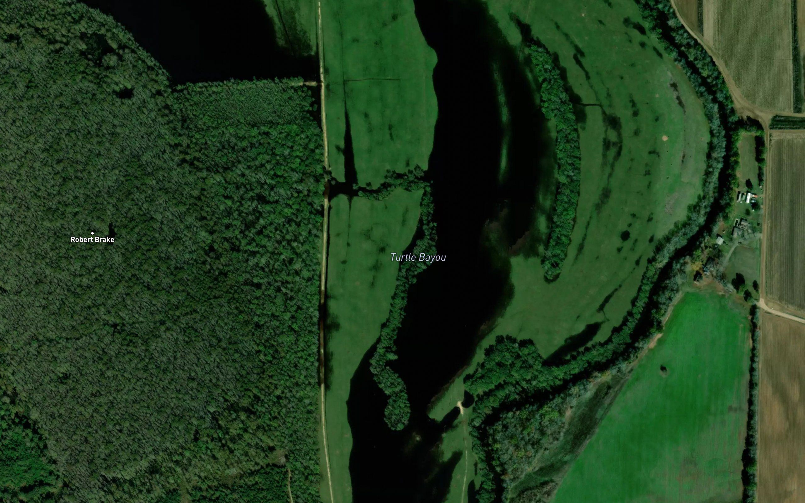 Turtle Bayou