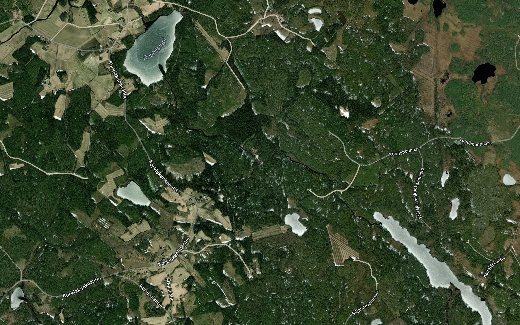 Satellite map of the Ruunalamminpuro