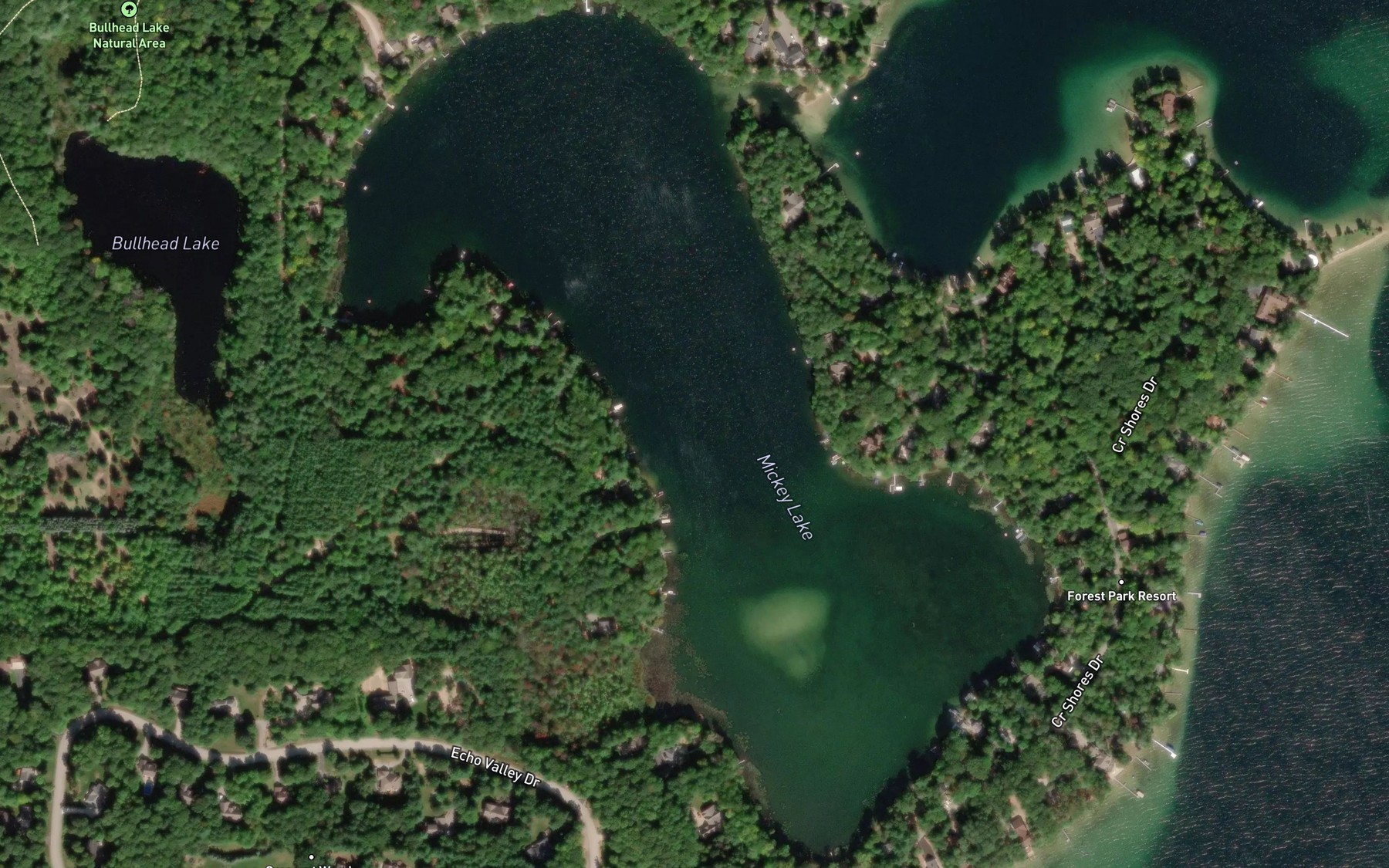 Satellite map of the Mickey Lake