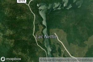 Lac Nettle