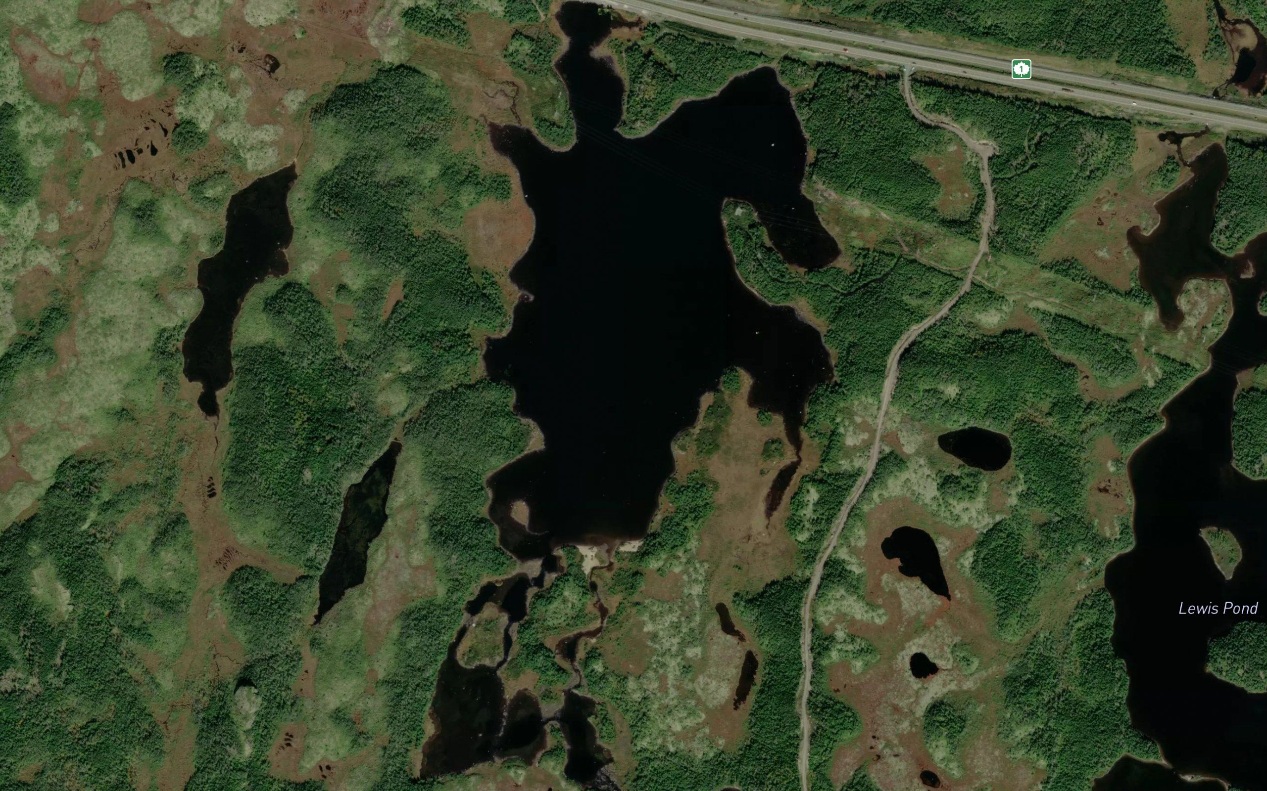 Big Triangle Pond