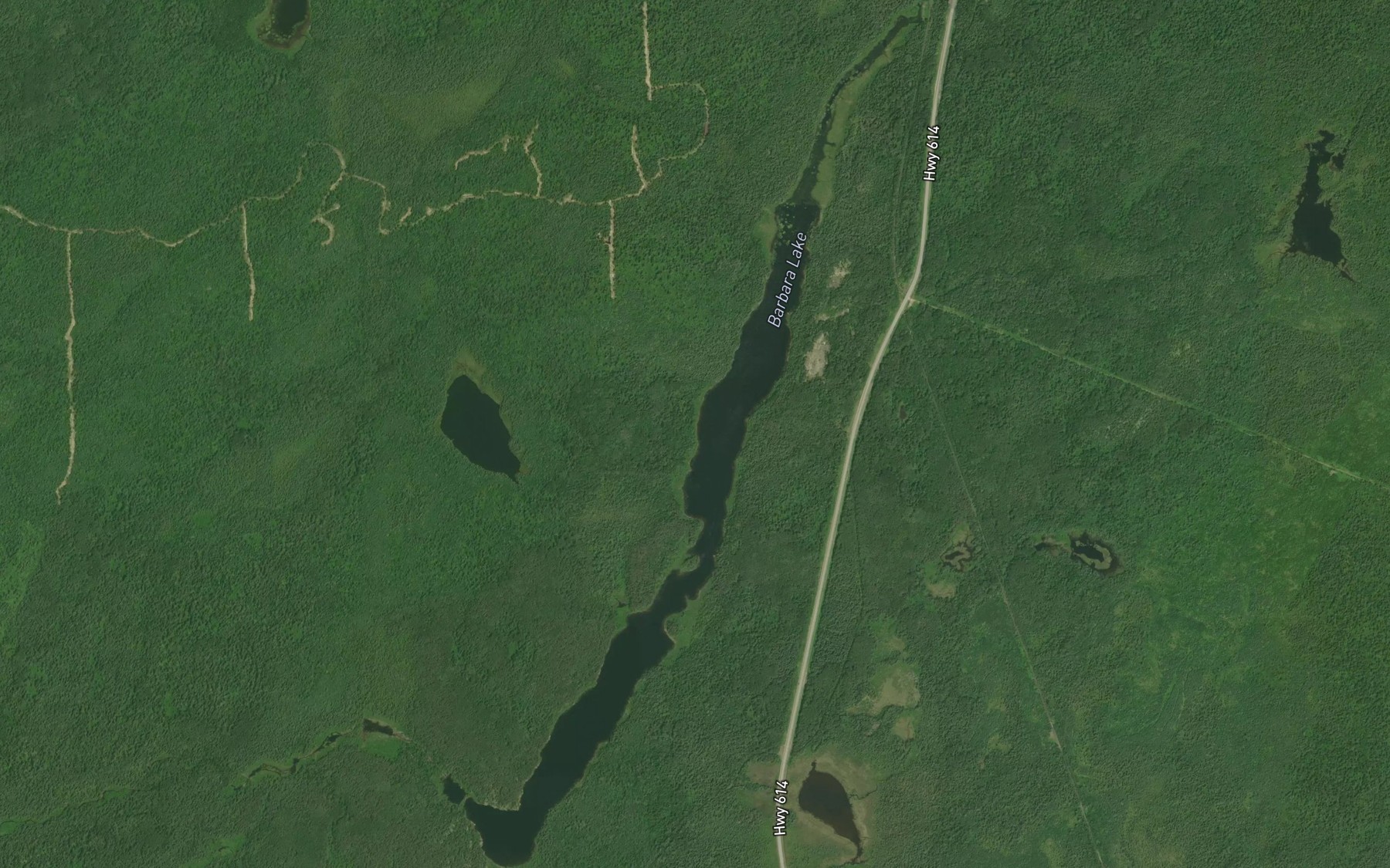 Satellite map of the Barbara Lake