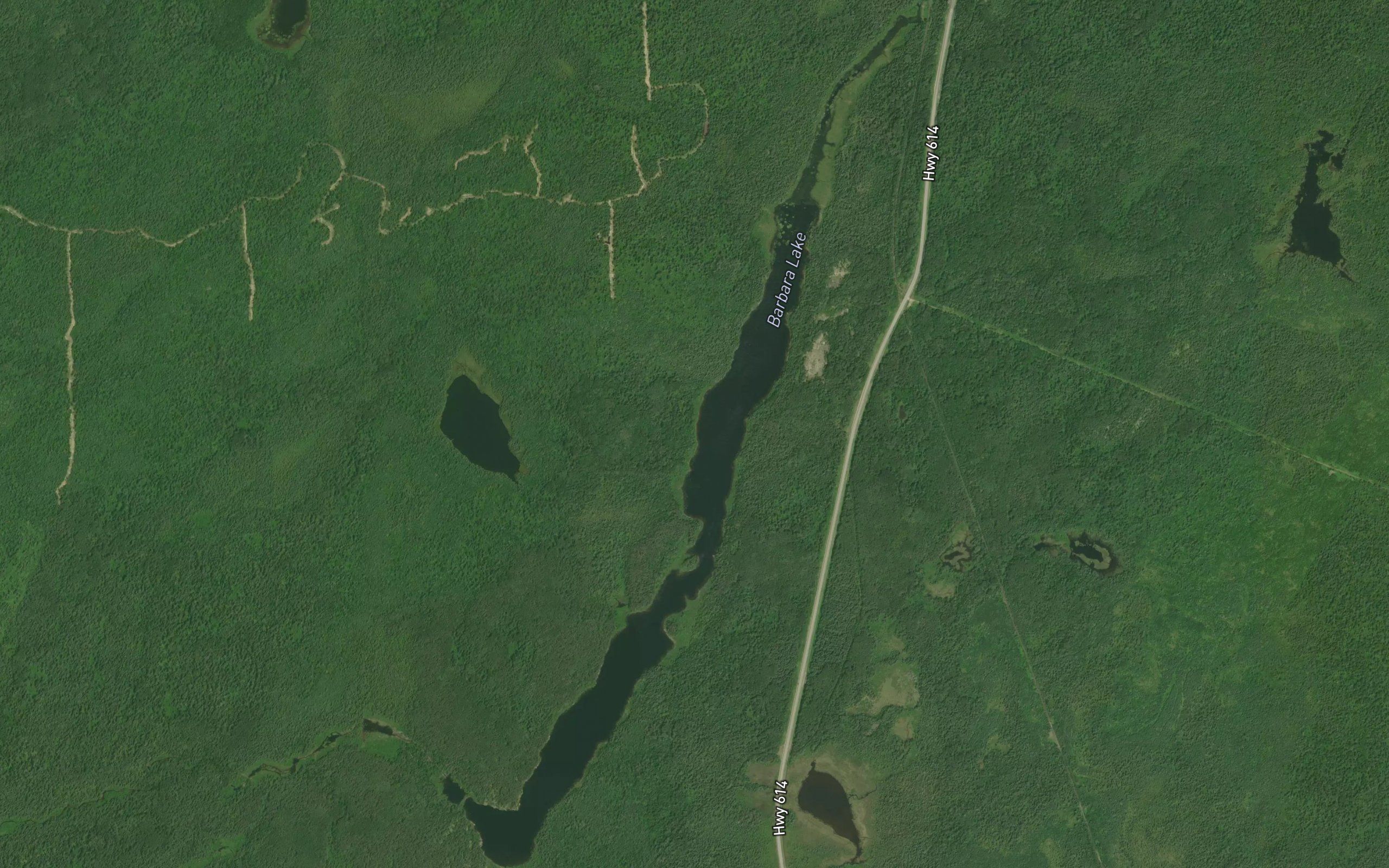Barbara Lake
