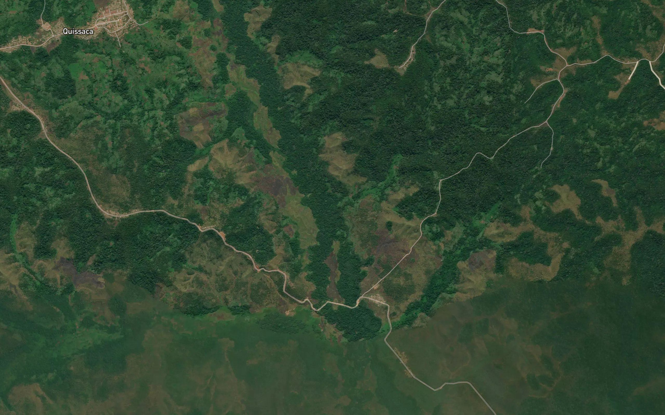 Punja