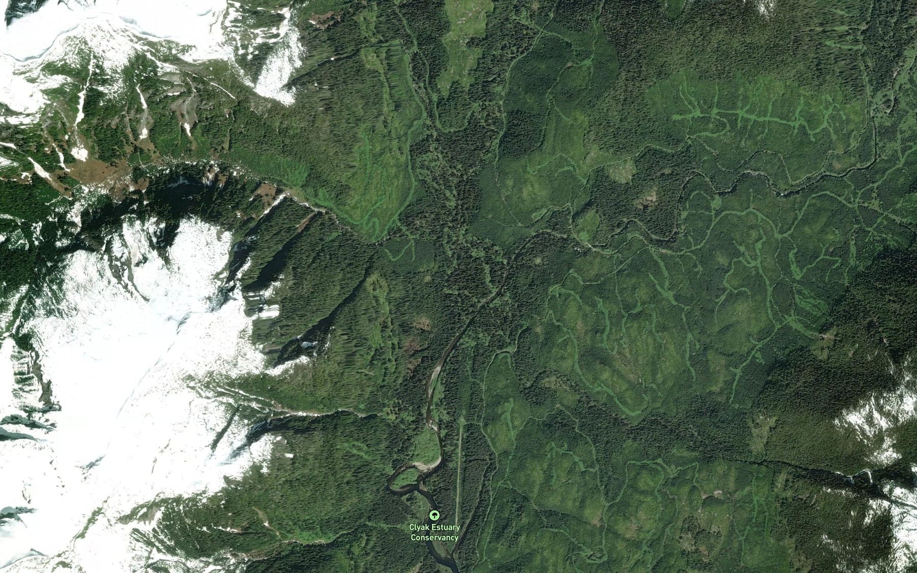 Satellite map of the Young River