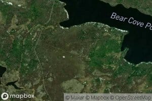 Bear Cove Pond