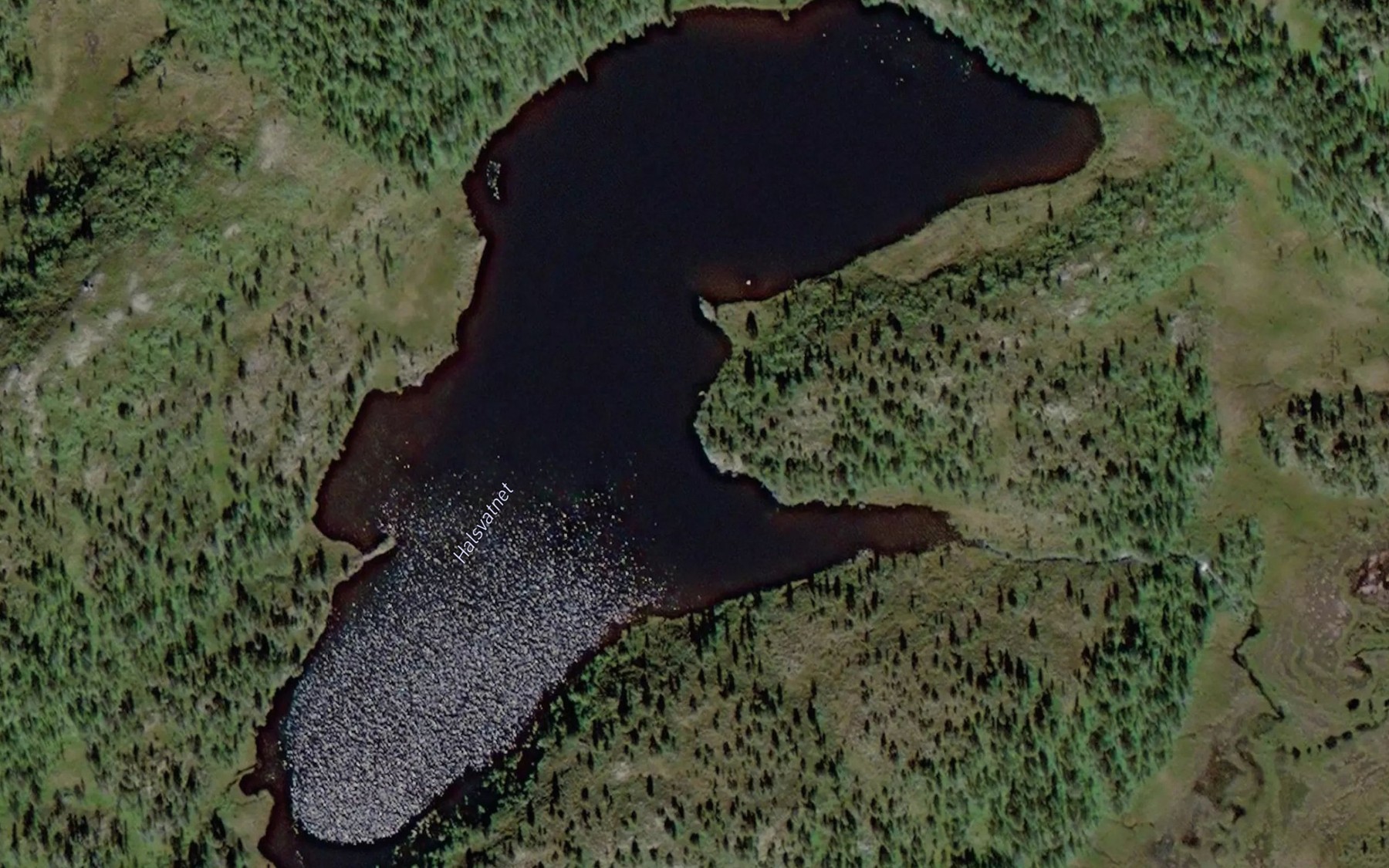 Satellite map of the Halsvatnet