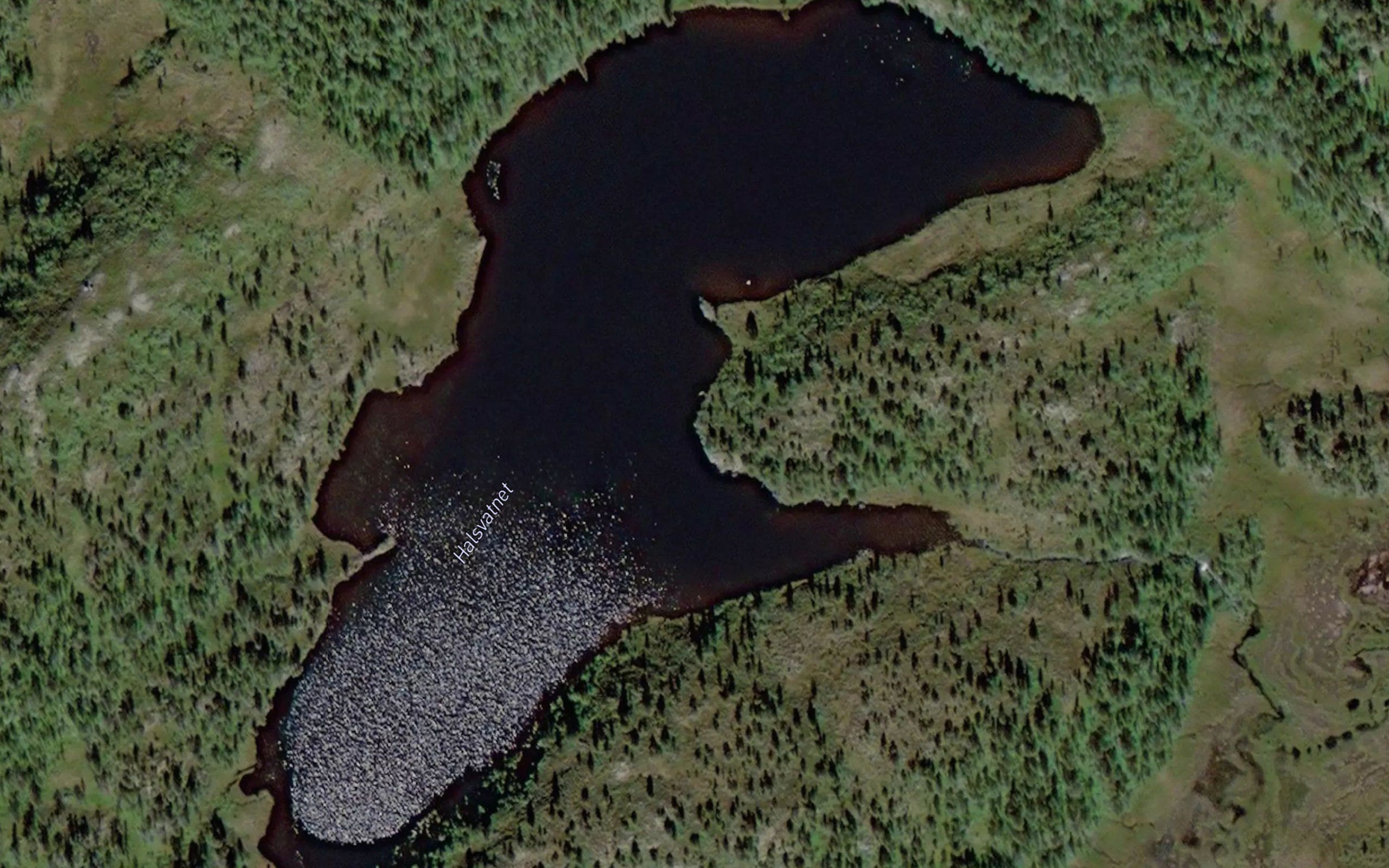 Halsvatnet