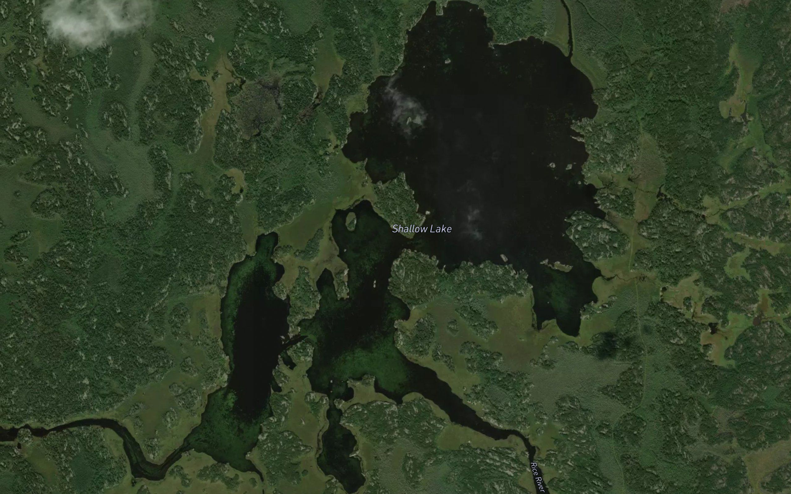 Shallow Lake