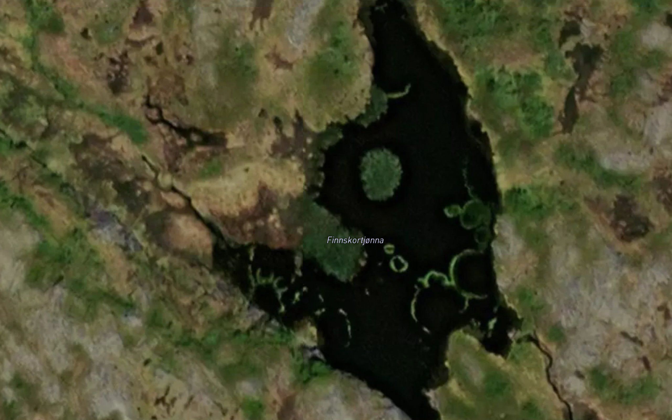 Finnskortjonna