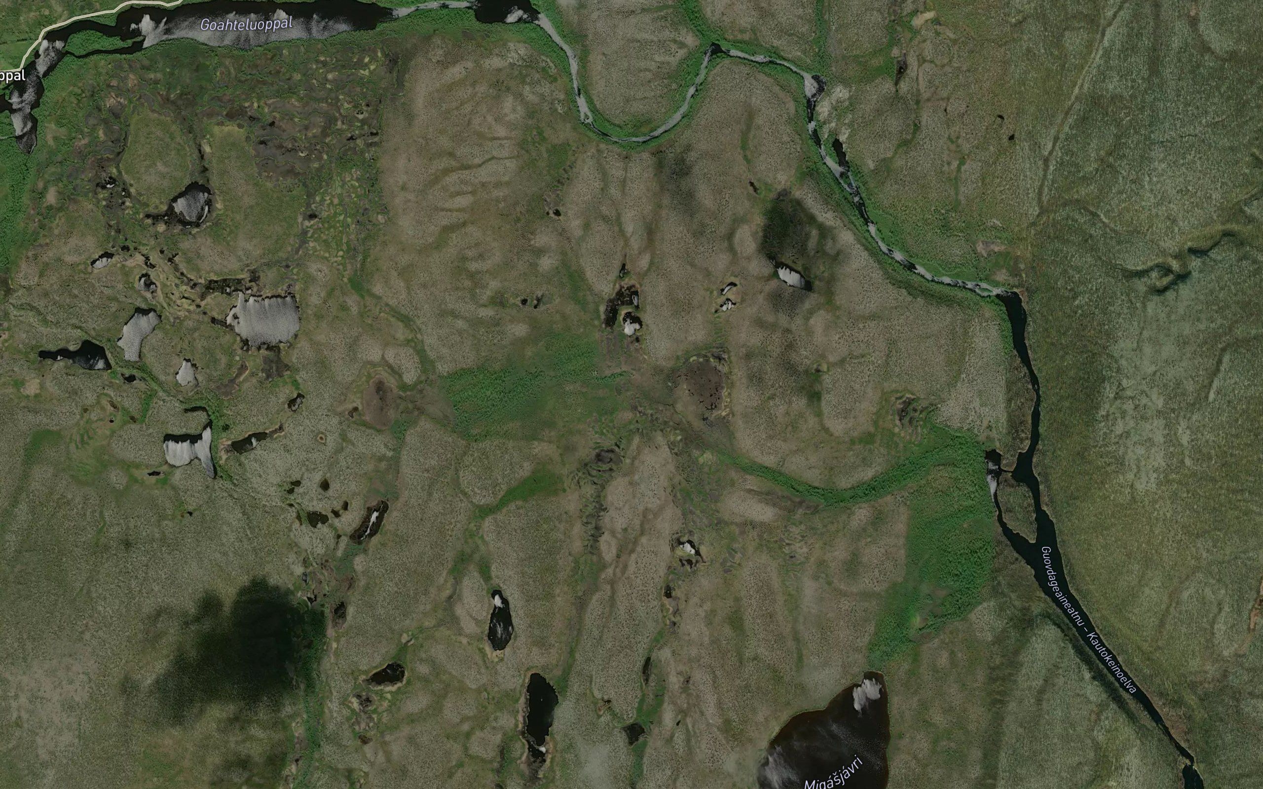 Roavasjakka