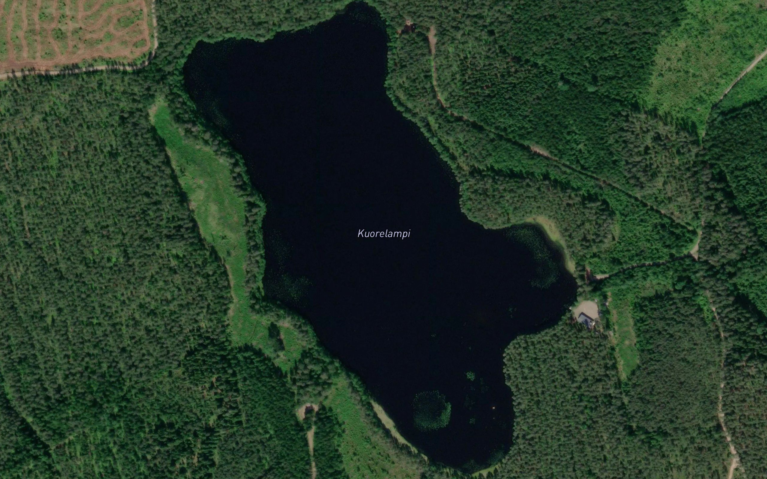 Kuorelampi