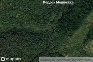 Medvezhiy
