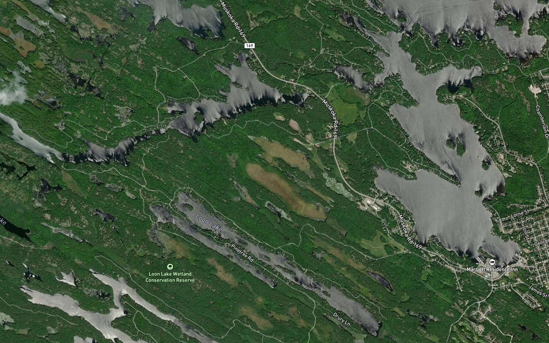 Satellite map of the Pigeon Creek