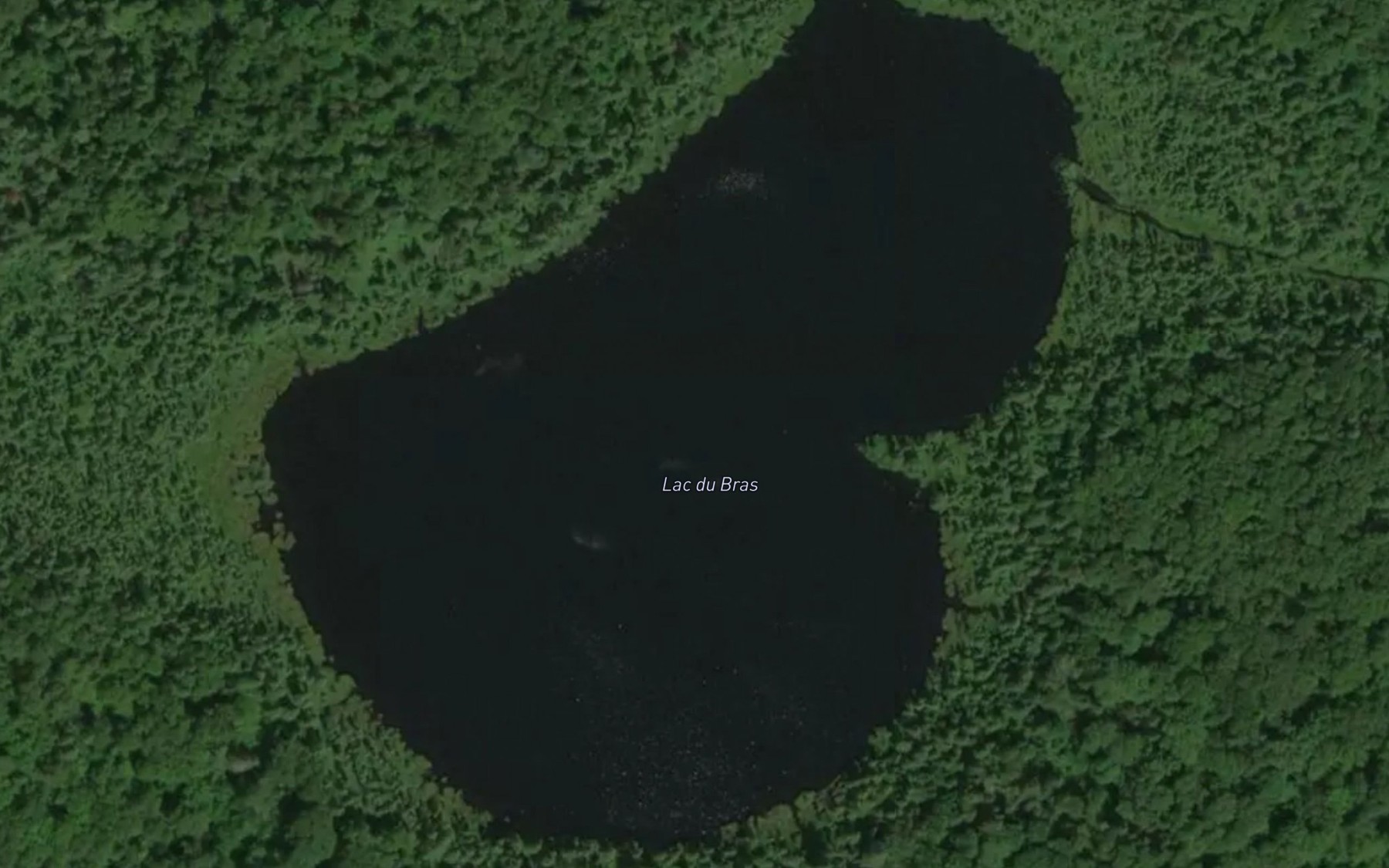 Satellite map of the Lac du Bras