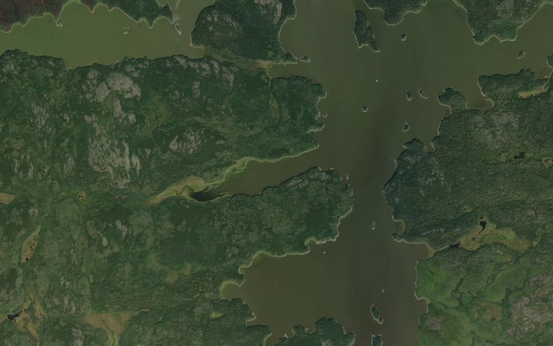 Satellite map of the Pechipoo Bay