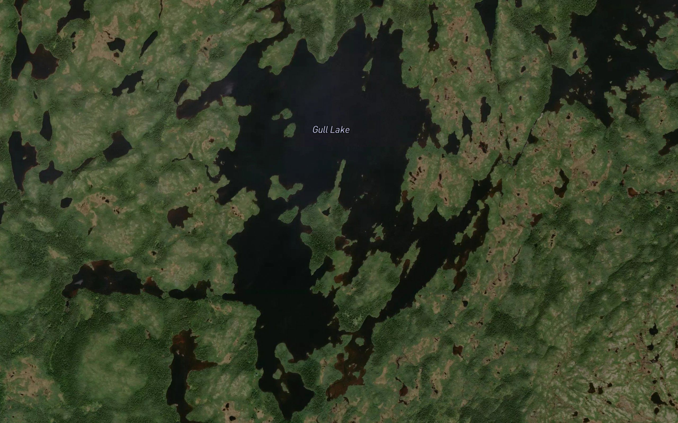 Gull Lake