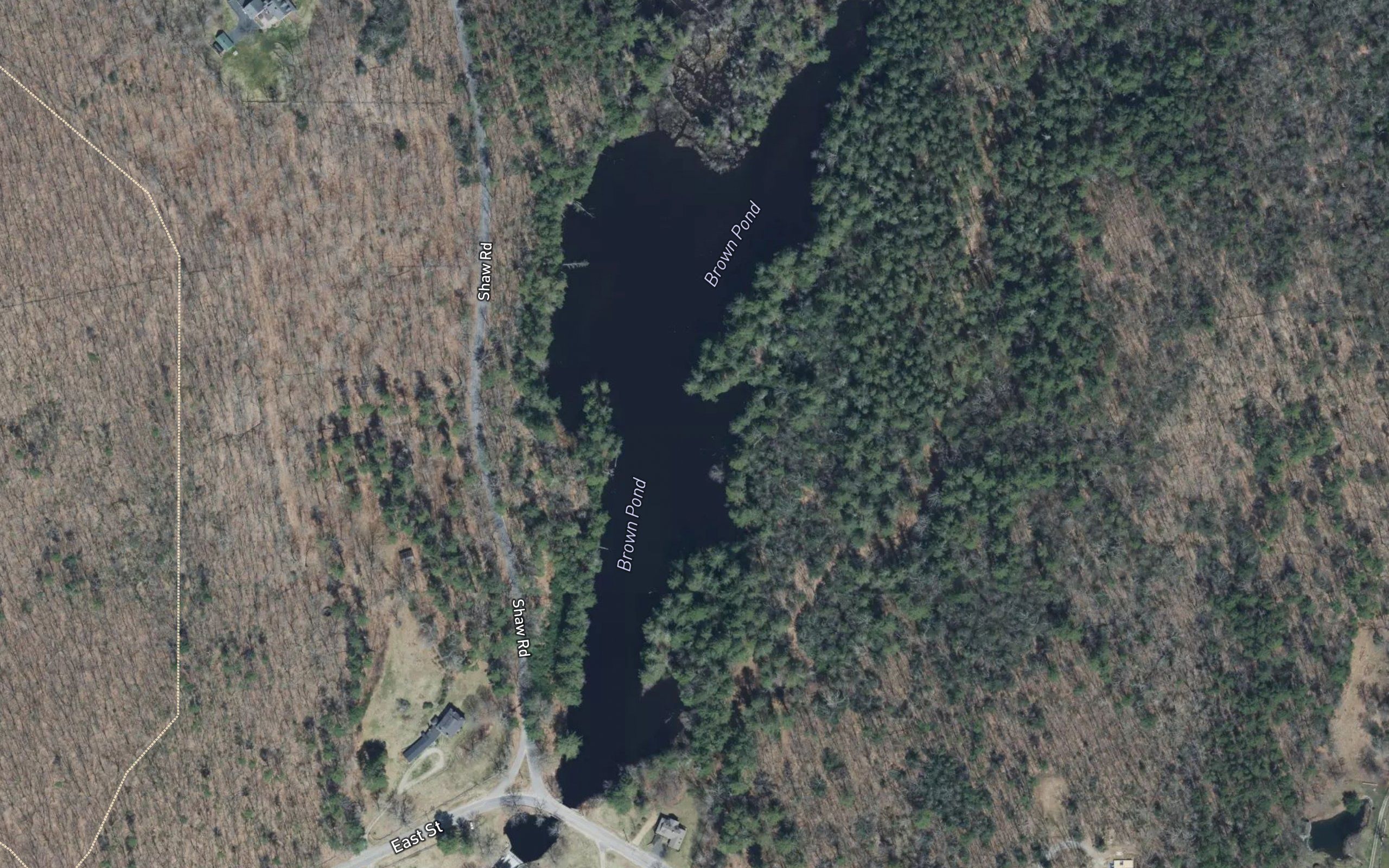 Brown Pond